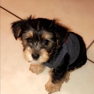 Meet your Posher, Kyle